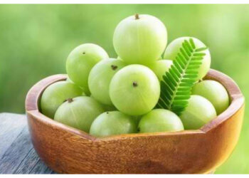 Asam-Asam Berkhasiat, Ini Manfaat Buah Cermai untuk Kesehatan