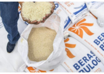 Bapanas Optimis Ketersediaan Pangan Pokok Strategis Mencukupi di Tahun 2026 Tanpa Importasi