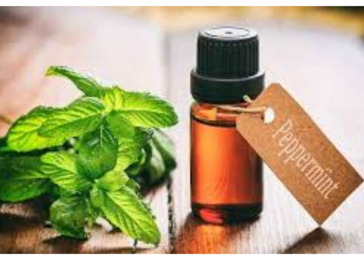 Aroma Segar, Khasiat Besar! Ini Manfaat Minyak Peppermint bagi Kesehatan