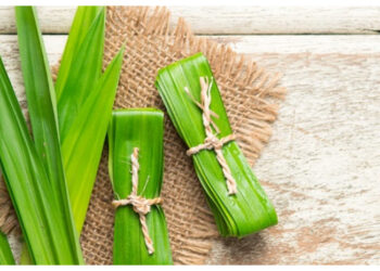 Tak Sekadar Pewangi Masakan, Ini 7 Khasiat Daun Pandan