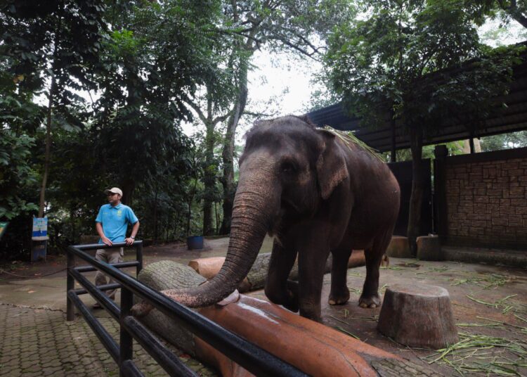 Pemkot Bandung Kaji Tiga Skema Masa Depan Kebun Binatang Bandung