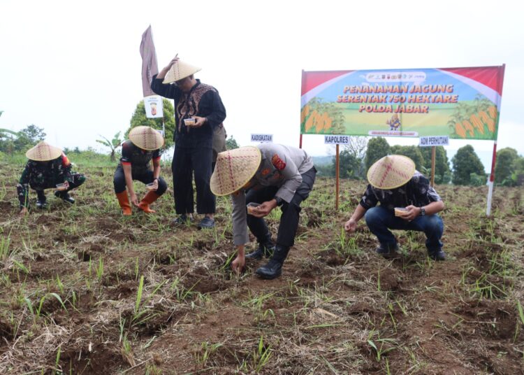 Polres Kuningan Tanam Jagung Seluas 22 Ha Di 27 Lokasi