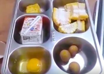 Viral, Ini Perbedaan Mencolok Gaji Pekerja SPPG/MBG  dengan Perangkat Desa dan Guru Honorer