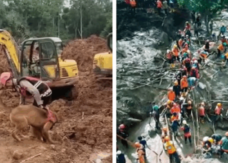 Pencarian Hari Ketiga Korban Longsor Cisarua, 29 Jasad Ditemukan, 61 Diduga Masih Tertimbun