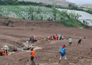 Cari 82 Warga Tertimbun Longsor Cisarua KBB, Tim SAR Turun Tangan Terjunkan Anjing Pelacak K9