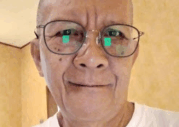 Deforestasi Akibat Konsesi Hutan dan Lahan di Indonedia Yang Diobral Tanpa Kontrol Selama Indonesia Merdeka 1945-2025