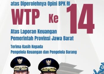 Pandji dan Satir Komedi