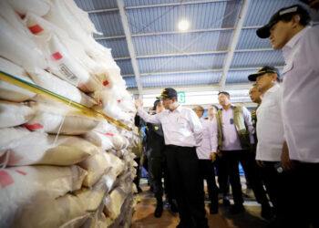 Sidak ke Tanjung Balai Karimun, Mentan Bongkar 1.000 Ton Beras Ilegal: ‘Ini Pengkhianatan terhadap Petani’