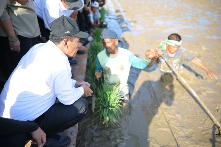 Mentan: Padat Karya Kunci Pemulihan Pertanian Pascabencana, Petani Dilibatkan Langsung