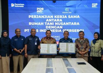 Percepat Pemulihan Ekonomi Pascabencana, Pemerintah Perkuat Distribusi dan Rantai Pasok Komoditas