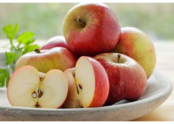 Rutin Konsumsi Apel, Ini Manfaatnya bagi Tubuh!