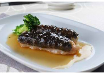 Kaya Protein dan Mineral, Ini Alasan Teripang Baik untuk Kesehatan