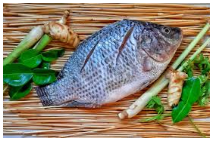 Tak Sekadar Murah, Ini Manfaat Ikan Nila untuk Kesehatan