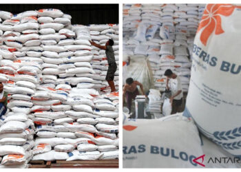 Produksi Beras Melimpah, DPR Minta Pemerintah Perhatikan Rakyat Miskin