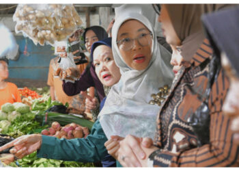 Komisi IX Sidak Pasar, Pastikan Makanan Bebas Boraks dan Formalin