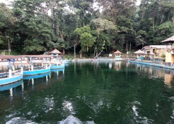 Kematian Ikan Dewa Terus Bertambah, Kini Hampir 800 Ekor Mati Massal