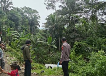 Tak Kuat Menanjak Mobil Toyota Triton Mundur dan Masuk Ke Jurang