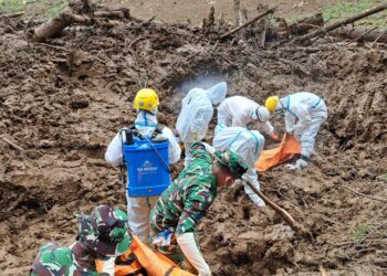 Basarnas Serahkan 94 Bodypack ke Tim DVI Hingga Hari ke 13 Pencarian