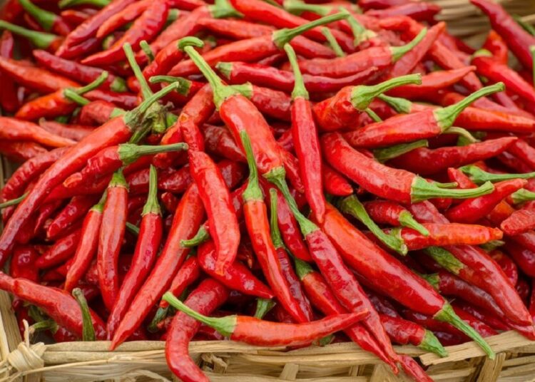 DPR Soroti Kenaikan Harga Cabai yang Terus Berulang Tiap Tahun