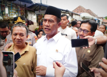 Terima Laporan Kenaikan, Mentan Sidak Pasar, Harga Ayam Langsung Turun 15 Ribu per Kg