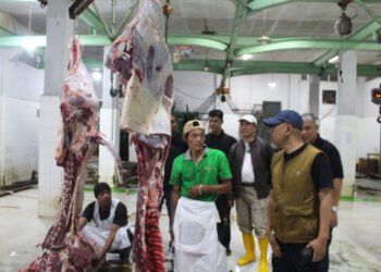 Kementan Gencarkan Sidak, Pastikan Pasokan Daging, Ayam dan Telur Aman Selama Ramadan Hingga Idulfitri