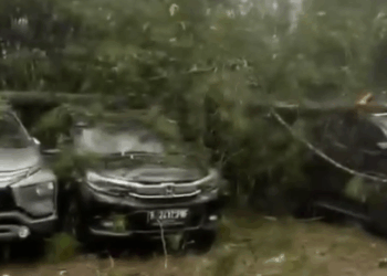 Cuaca Ekstrem, Belasan Mobil Tertimpa Pohon Pohon Pinus yang Tumbang di Kawasan Wisata  Pangalengan
