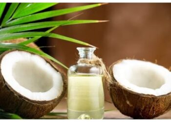 VCO, Minyak Kelapa Murni dengan Beragam Manfaat untuk Kesehatan dan Kecantikan