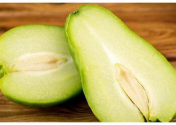 Keajaiban Labu Siam, Bisa Tingkatkan Imunitas dan Kendalikan Gula Darah