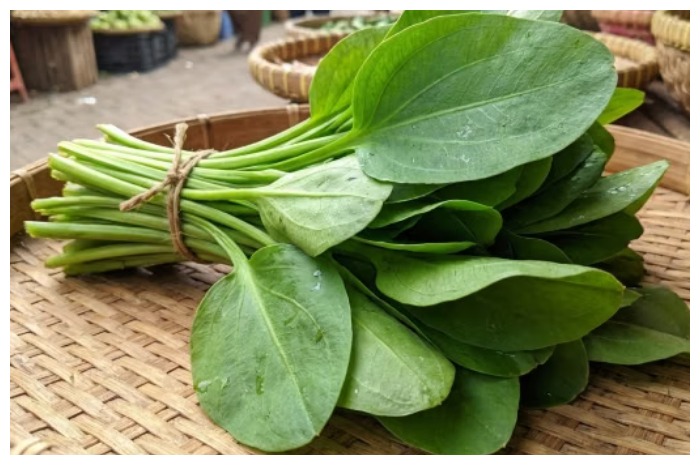 Jarang Disadari, Ini Beragam Manfaat Daun Genjer bagi Kesehatan Tubuh
