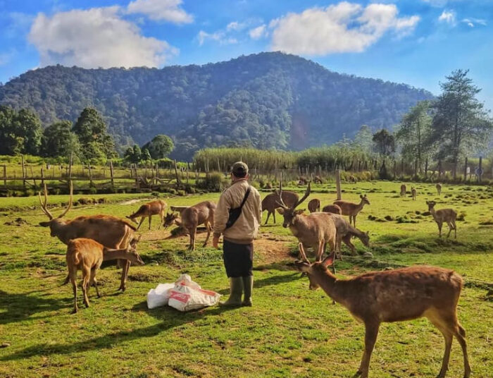 Pas Buat Healing, Ini Rekomendasi Tempat Wisata Alam di Bandung