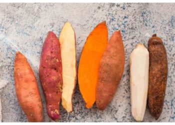 Bosan Nasi? Ini 8 Sumber Karbohidrat Alternatif yang Sehat