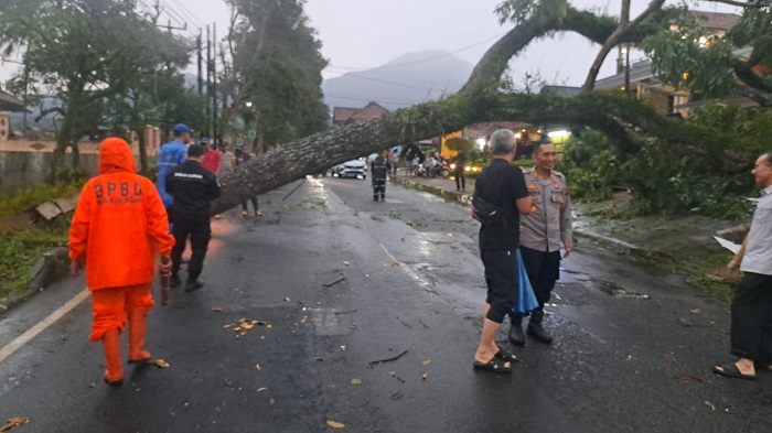 Pohon Tumbang dan Jembatan Cijemit Hanyut Disapu Angin dan Banjir