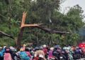 Angin Puting-Beliung Terjang Cicalengka dan Nagreg, Ada Pohon Tumbang dan Tiang Listrik Roboh