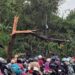 Angin Puting-Beliung Terjang Cicalengka dan Nagreg, Ada Pohon Tumbang dan Tiang Listrik Roboh