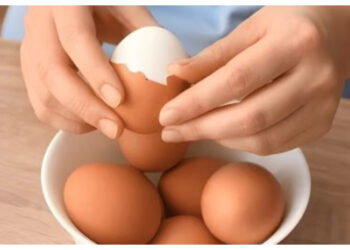 Telur Memang Sehat, Tapi Jangan Berlebihan! Ini Batas Amannya