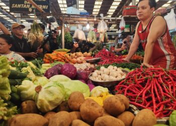 Pasca Lebaran, Satgas Saber Pangan Terus Pantau Pasar