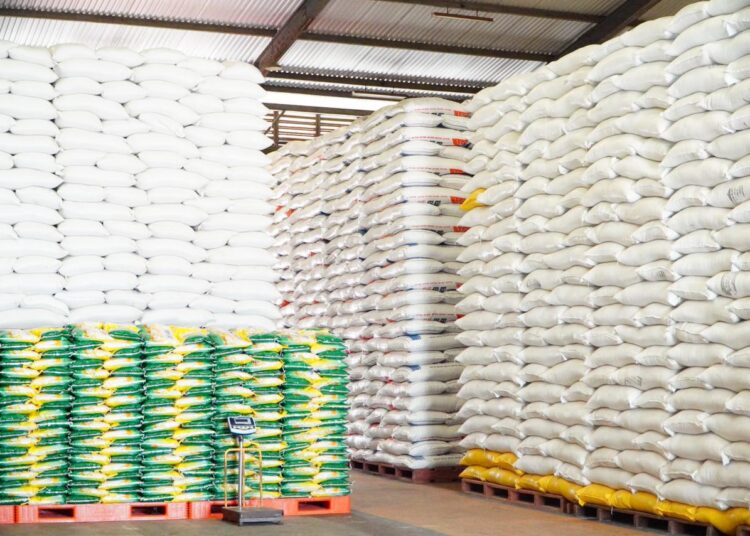 Stok Pangan Nasional Kuat, Ini Penjelasan Bapanas