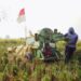 Penyerapan Beras Produksi Dalam Negeri Tertinggi, Indonesia Lebih Siap Hadapi Kemarau