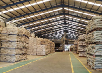 Harga Pakan Turun, Kementan Pastikan Biaya Produksi Peternak Makin Efisien