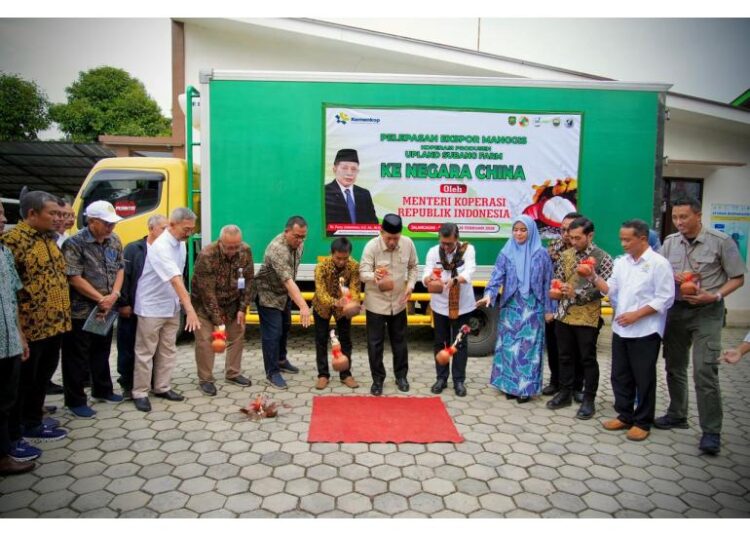 Koperasi Produsen Upland Subang Farm Ekspor Manggis, Menkop: Bukti Koperasi Jadi Penggerak Ekonomi Desa