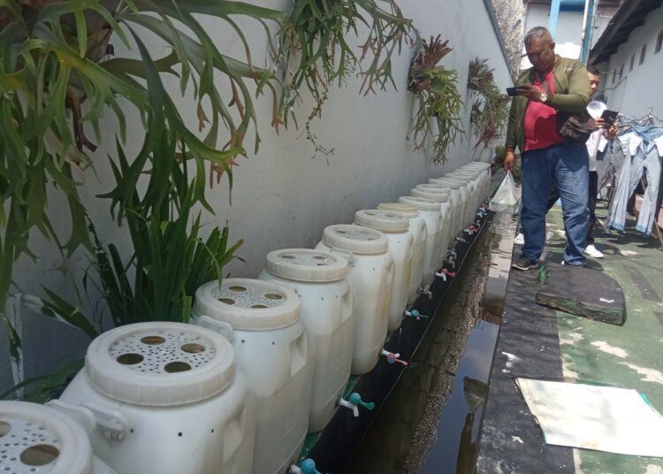 Dukung Ketahanan Pangan, Lapas Tasikmalaya Panen Lele Lima Kali dalam Tiga Bulan