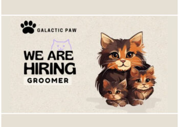 DATANG LANGSUNG! Galactic Paw Kopo Bandung Buka Loker Teranyar, Tertarik?