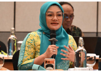 BKSAP DPR RI Dorong Penguatan Diplomasi di Tengah Konflik Global