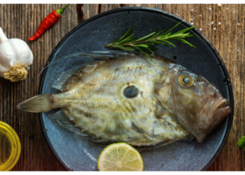 Rutin Konsumsi Ikan Dori, Ini Dampaknya bagi Tubuh