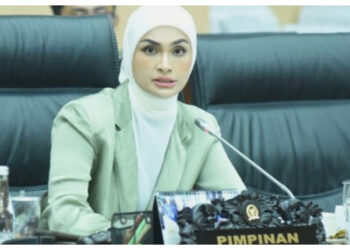 DPR Dukung Penindakan Tegas Perusahaan Pencemar Lingkungan