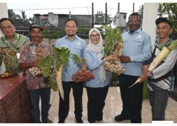 Target Swasembada 2029, DPR Genjot Produksi Bawang Putih