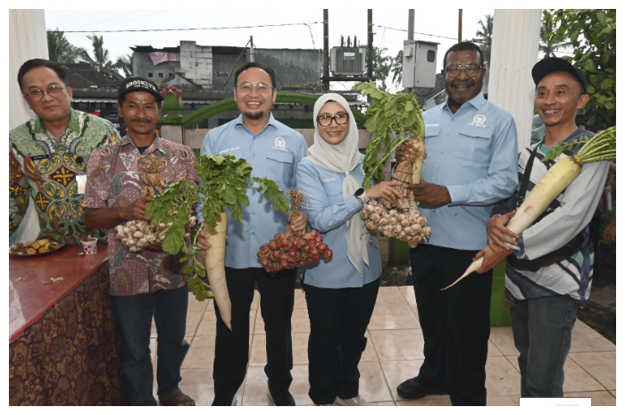 Target Swasembada 2029, DPR Genjot Produksi Bawang Putih