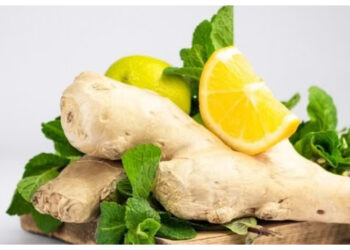 Mual Mengganggu? Ini Makanan yang Bisa Membantu Meredakannya!