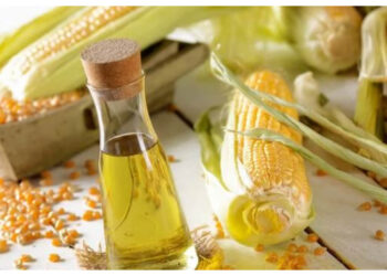 Minyak Jagung, Alternatif Sehat untuk Menurunkan Kolesterol
