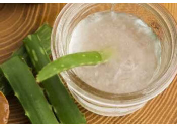 Dari Cegah Dehidrasi hingga Kontrol Gula Darah, Ini Manfaat Jus Lidah Buaya